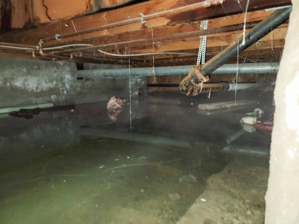 Best Water damage restoration near me  in Corry, PA