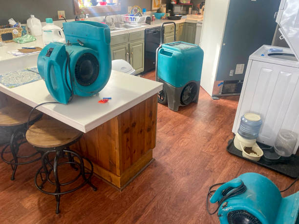 Best Ceiling water damage repair  in Corry, PA