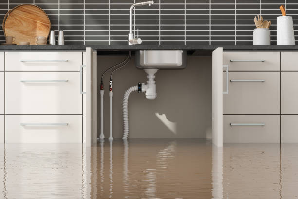 Best Flood damage cleanup  in Corry, PA