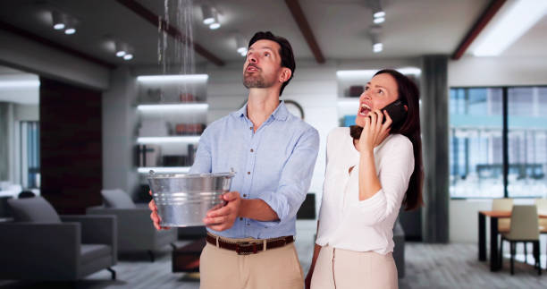 Best Carpet water damage restoration  in Corry, PA
